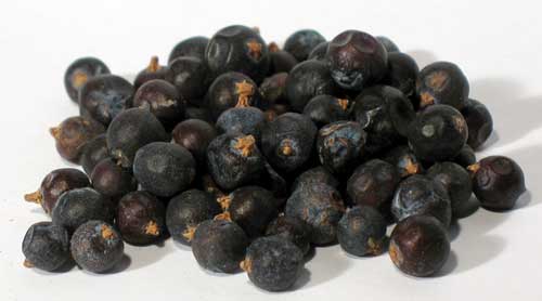 juniper berries